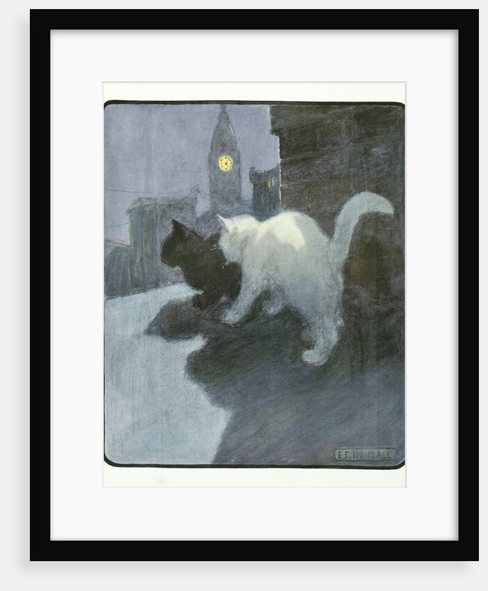 A White and Black Cat Sitting on a City Rooftop by Anonymous