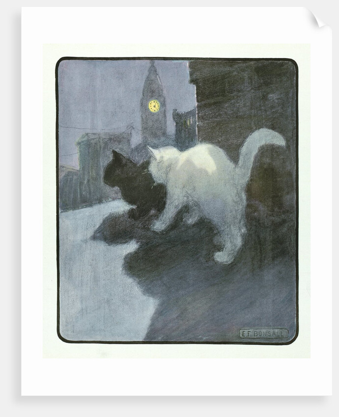 A White and Black Cat Sitting on a City Rooftop by Anonymous