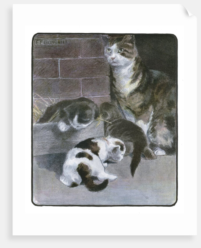 Domestic Cat with Three Kittens by Anonymous