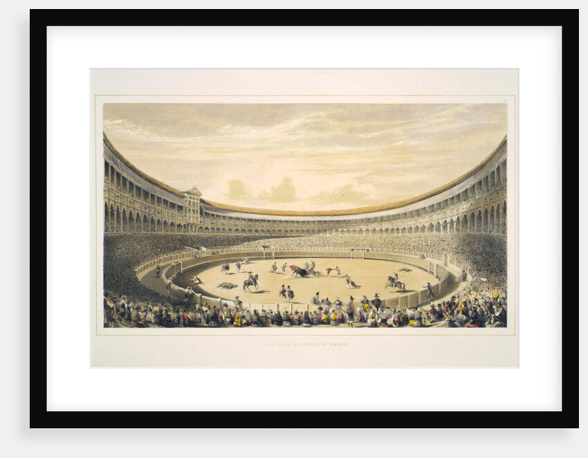 The Plaza de Toros of Madrid by Anonymous