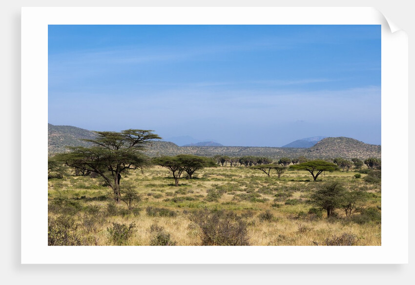 Samburu, Kenya by Anonymous