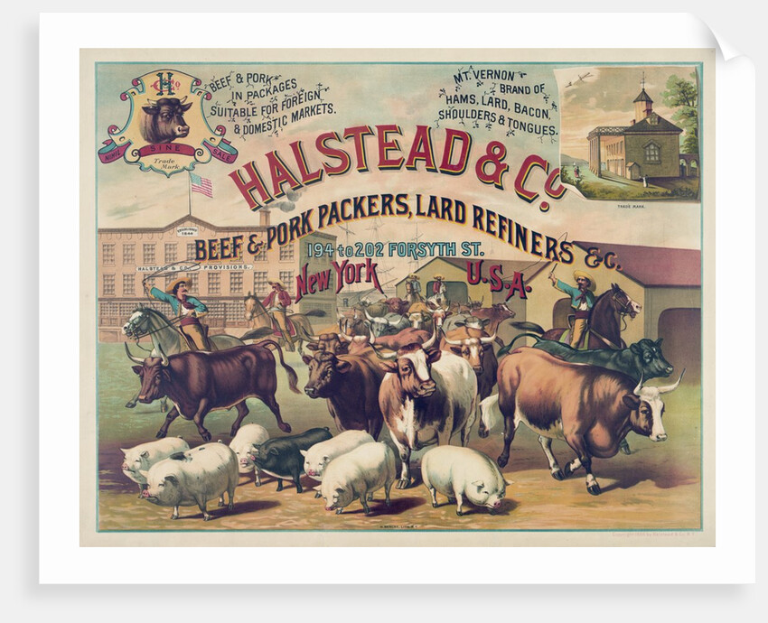 Halstead & Co. Beef & Pork Packers, Lard Refiners & Co. by Anonymous