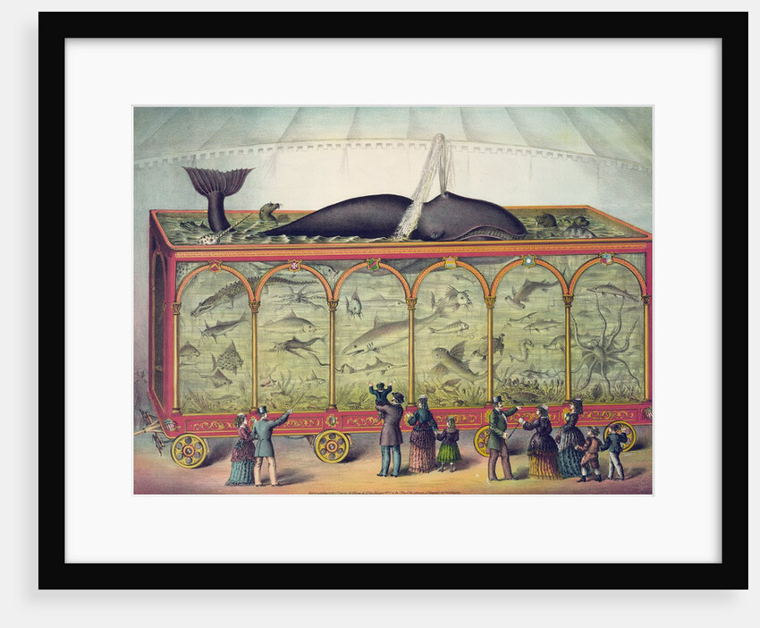 Lithograph of 19th century traveling aquarium by Anonymous