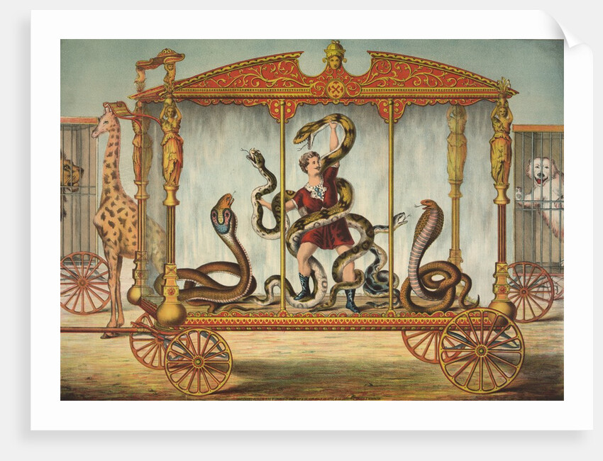 The Snake Wagon by Anonymous