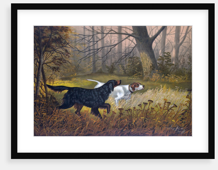 Hunting dogs in woods by Anonymous