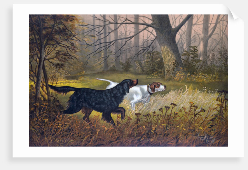 Hunting dogs in woods by Anonymous
