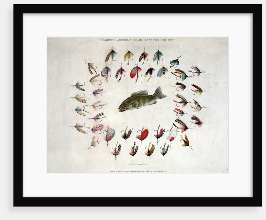 Standard American Black Bass and Lake Flies by Anonymous