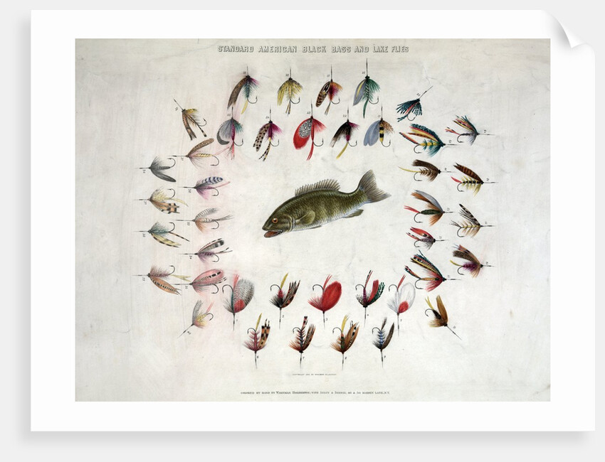 Standard American Black Bass and Lake Flies by Anonymous