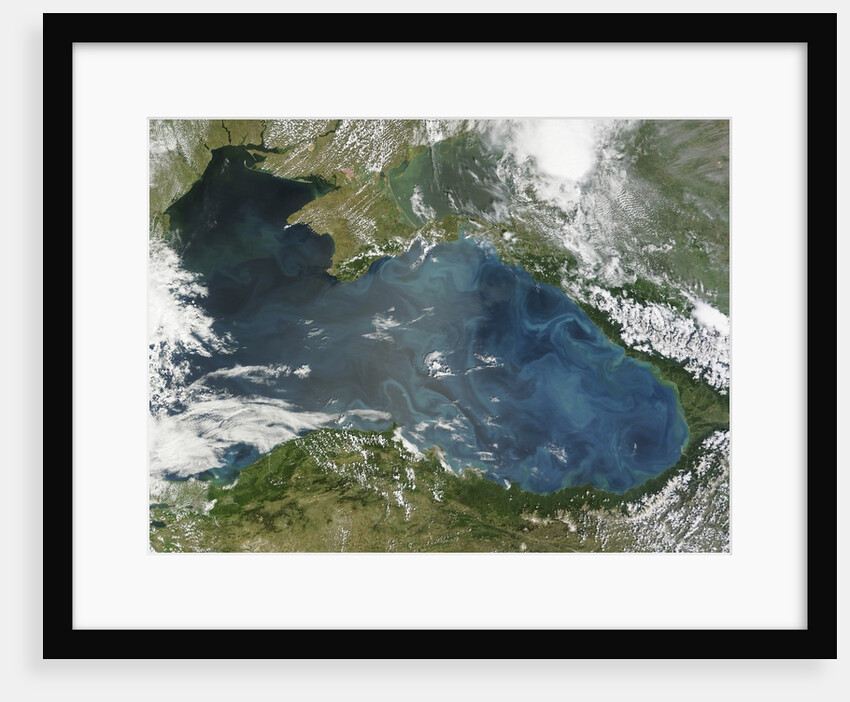 Phytoplankton bloom in the Black Sea by Anonymous