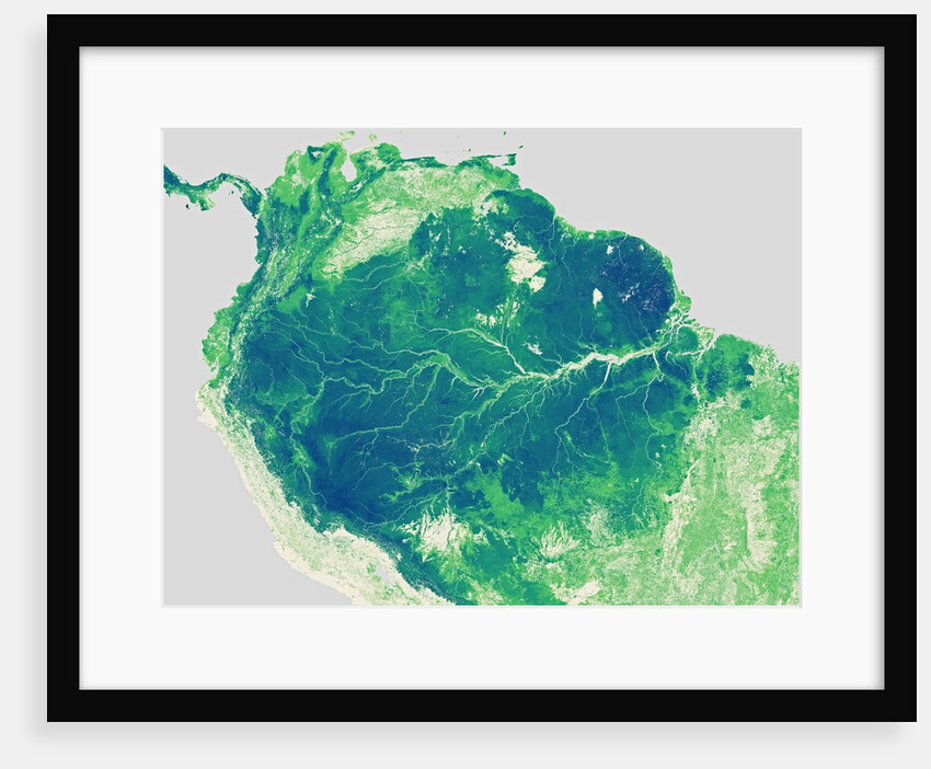 Forest Height Map of the Amazon Basin by Anonymous