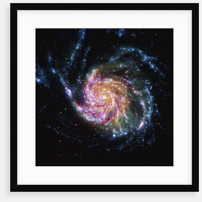 The Pinwheel Galaxy is in the constellation of Ursa Major by Anonymous