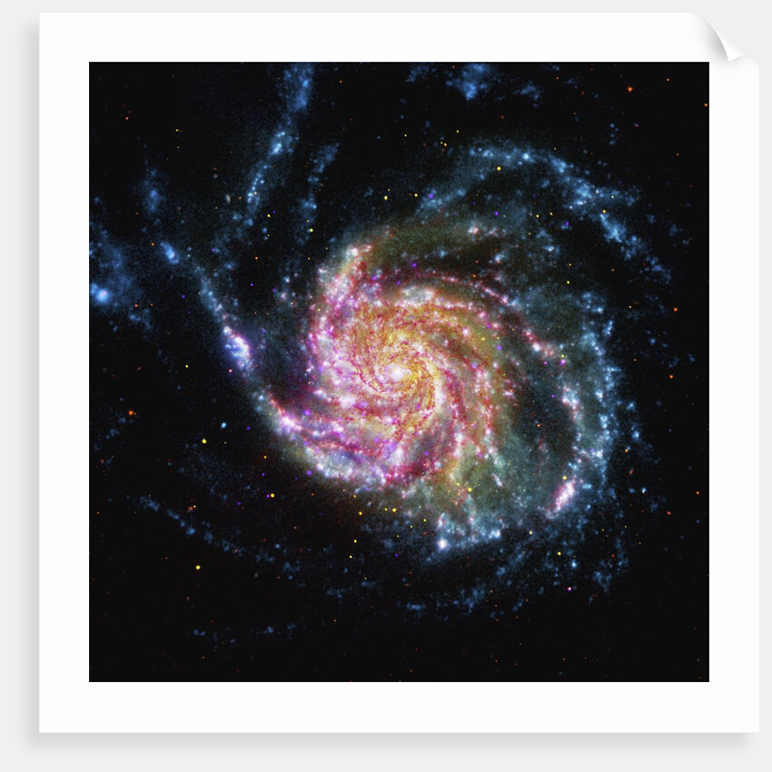 The Pinwheel Galaxy is in the constellation of Ursa Major by Anonymous