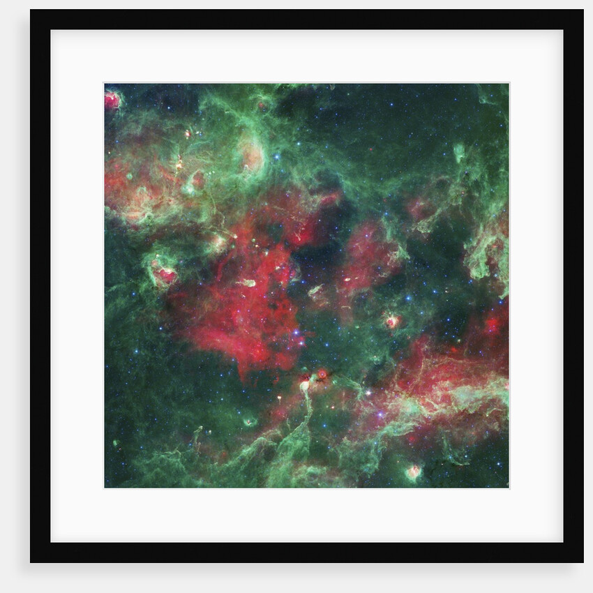 Stars Brewing in Cygnus X by Anonymous