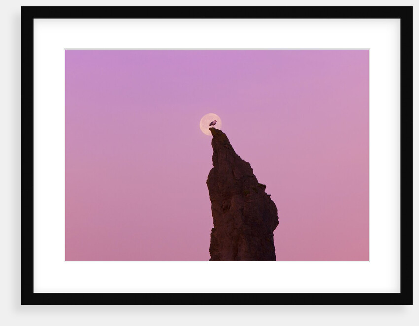 moon set , low tide, Bandon Beach, Oregon Coast, Pacific Northwest. Pacific Ocean by Anonymous