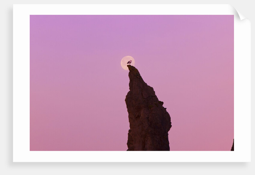 moon set , low tide, Bandon Beach, Oregon Coast, Pacific Northwest. Pacific Ocean by Anonymous