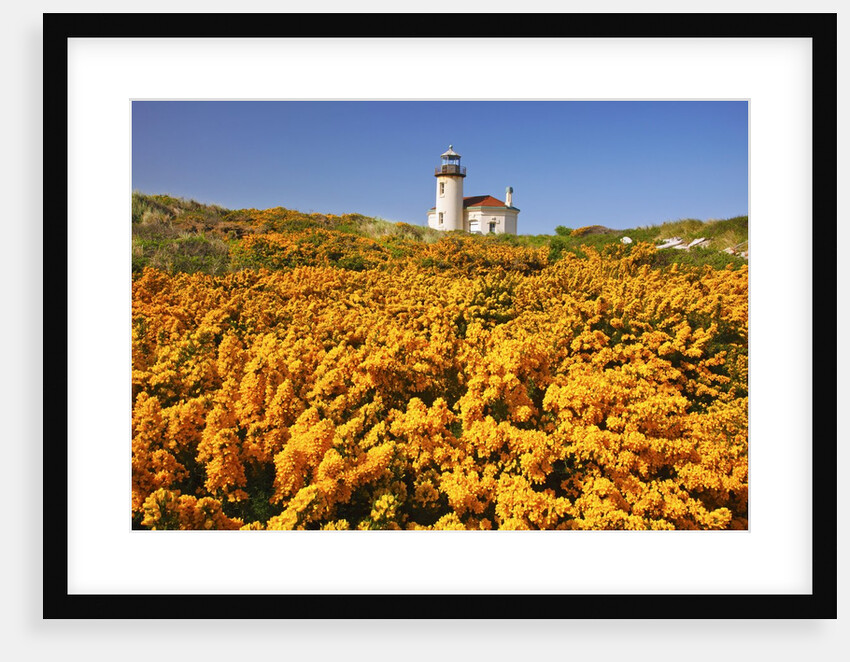 wildflowers add beauty to Coquille River Lighthouse, Bandon Beach, Oregon Coast, Pacific Northwest. by Anonymous
