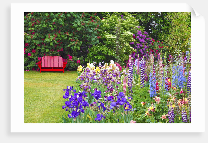 Schreiner Iris Gardens in Salem, Oregon by Anonymous