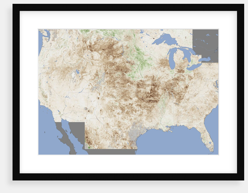 Crop Damage from Drought by Anonymous