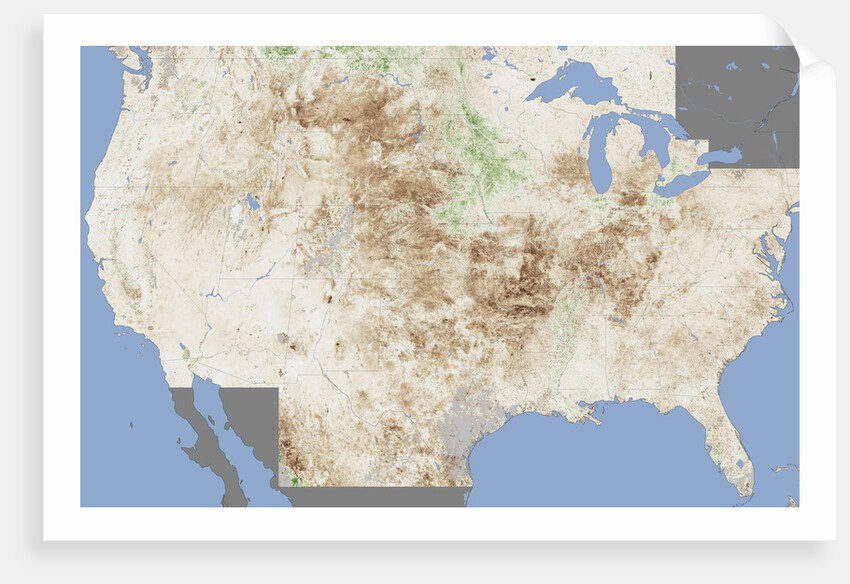 Crop Damage from Drought by Anonymous