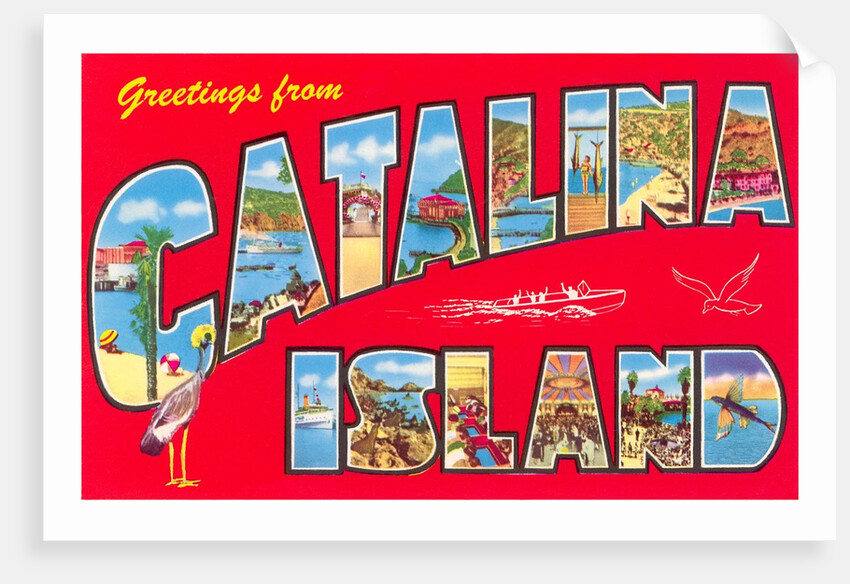Greetings from Catalina Island, California by Anonymous