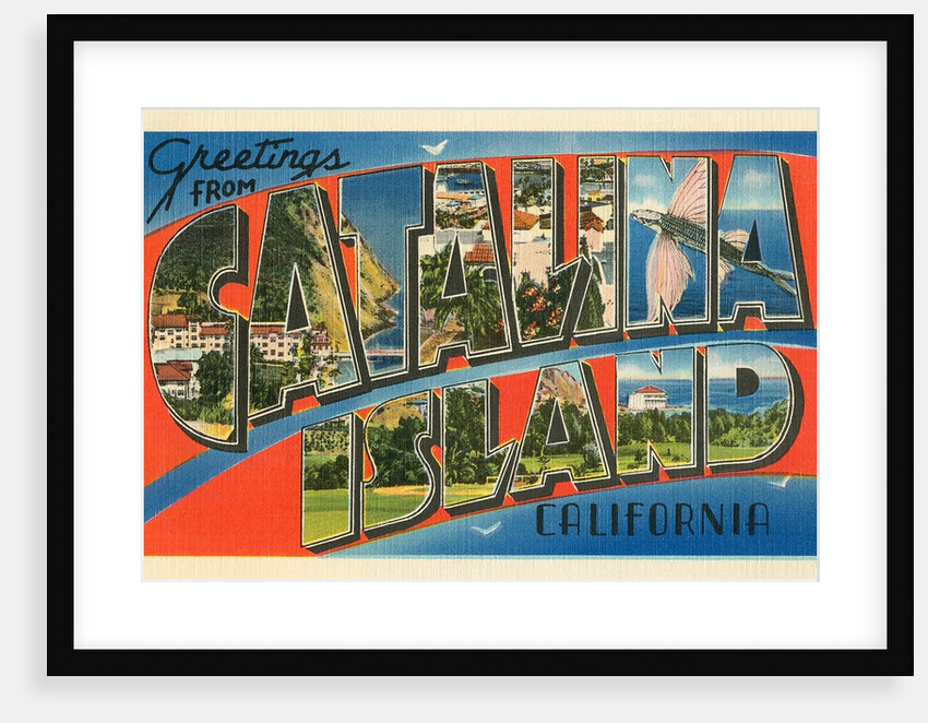 Greetings from Catalina Island, California by Anonymous