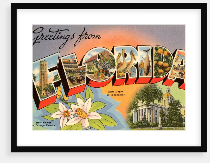 Greetings from Florida by Anonymous