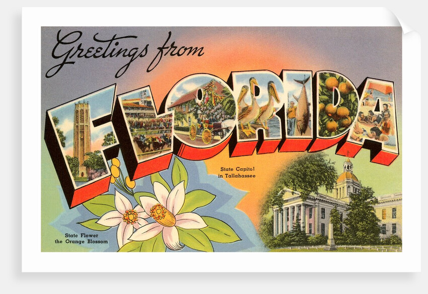Greetings from Florida by Anonymous