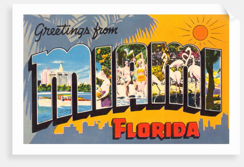 Greetings from Miami, Florida by Anonymous