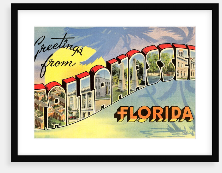 Greetings from Tallahassee, Florida by Anonymous