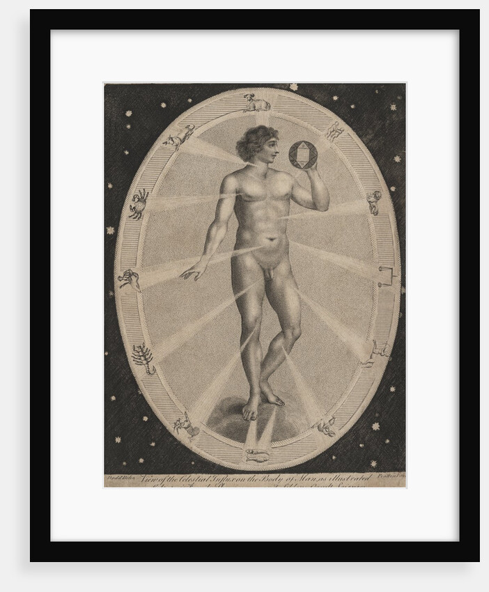 Male nude surrounded by astrological symbols by Anonymous