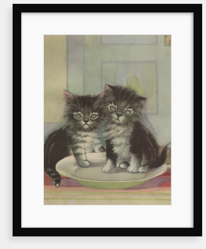 Two kittens sitting in bowl by Anonymous