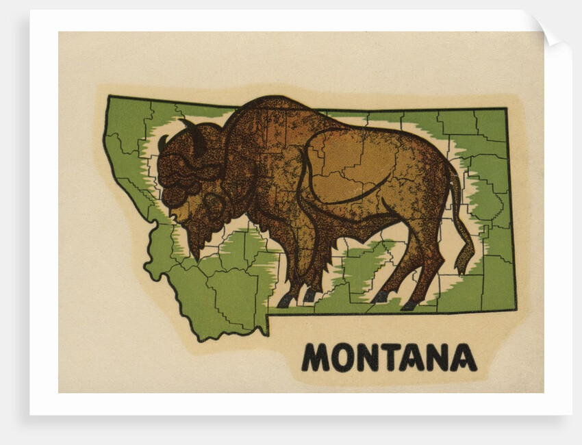 Montana travel decal by Anonymous