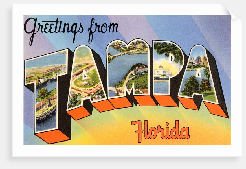 Greetings from Tampa, Florida by Anonymous
