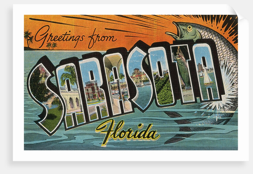 Greetings from Sarasota, Florida by Anonymous