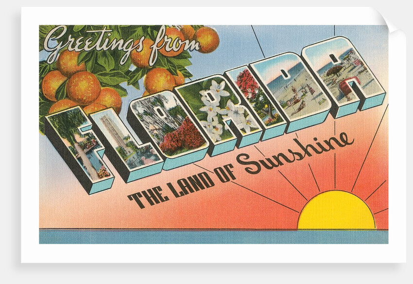 Greetings from Florida, the Land of Sunshine by Anonymous