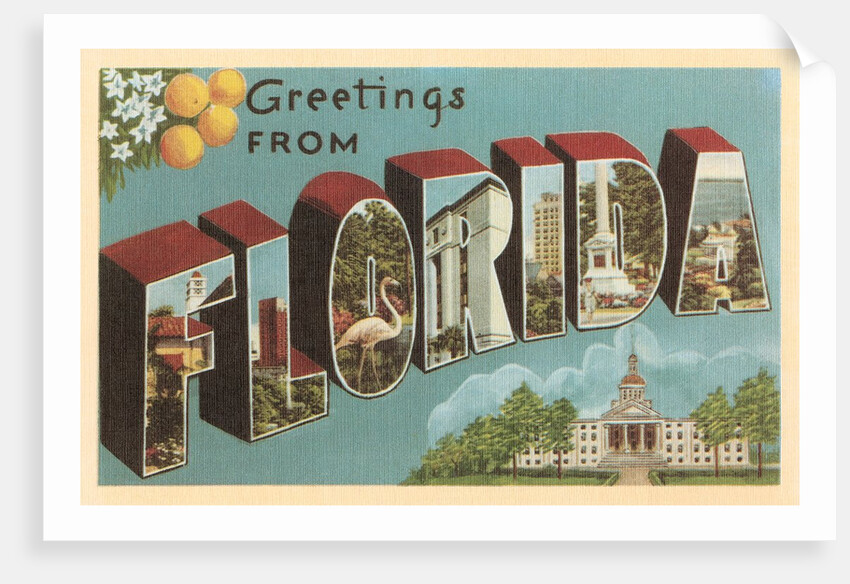 Greetings from Florida by Anonymous