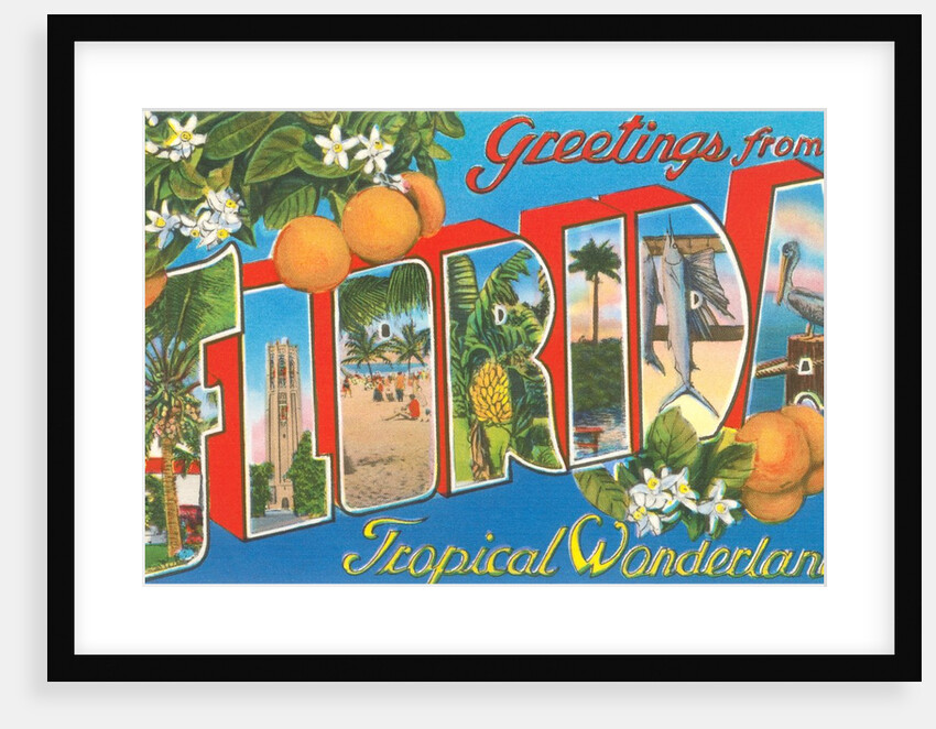 Greetings from Florida, Tropical Wonderland by Anonymous