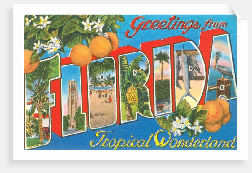 Greetings from Florida, Tropical Wonderland by Anonymous