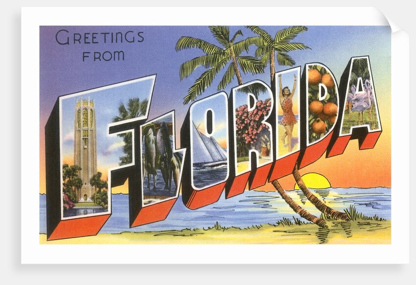 Greetings from Florida by Anonymous