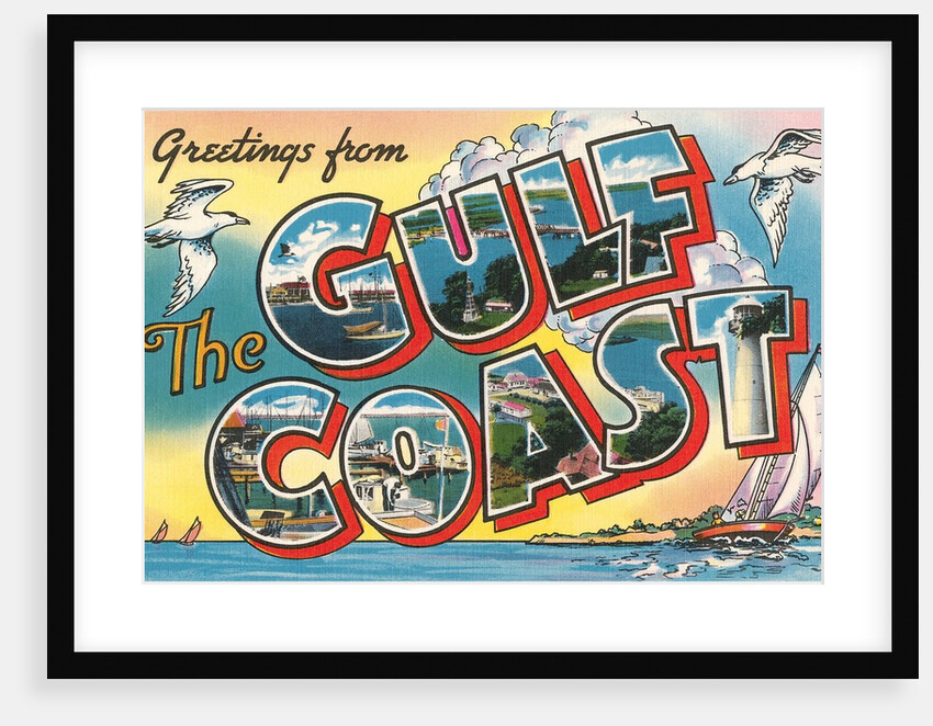 Greetings from the Gulf Coast, Florida by Anonymous