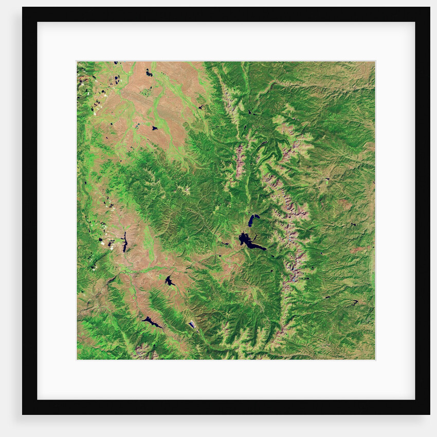 Pine Bark Beetle Damage to Forests, before image by Anonymous