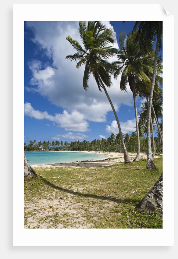 Tropical beach, Playa Rincon, Samana Peninsula, Dominican Republic by Anonymous