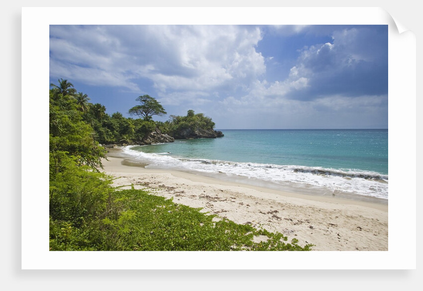 Tropical beach, Samana Peninsula, Dominican Republic by Anonymous
