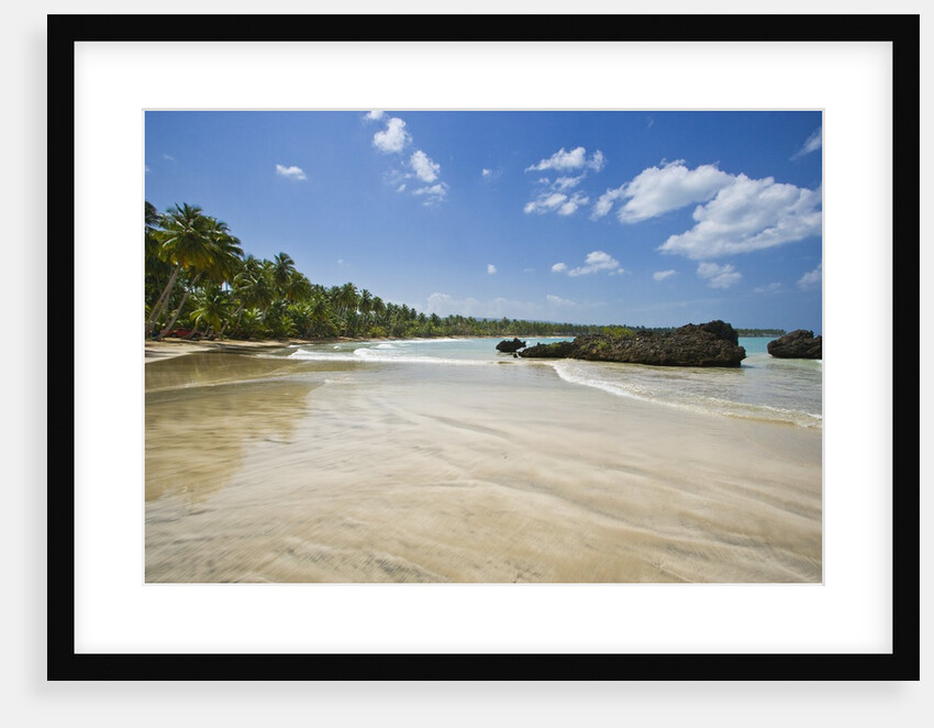 Tropical beach, Las Terrenas, Dominican Republic by Anonymous