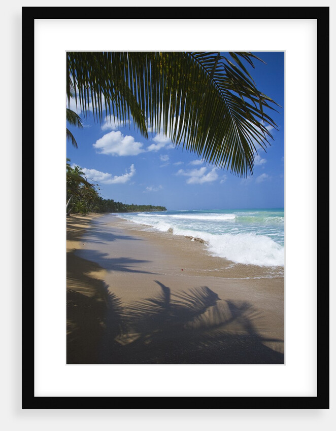 Tropical beach, Las Terrenas, Dominican Republic by Anonymous