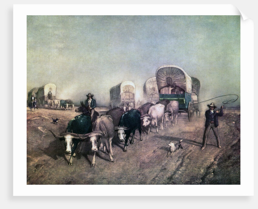 Train of Conestoga Wagons in 1850s America. by Anonymous