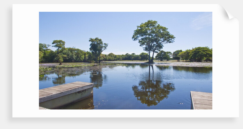 Lagoon in front of Pousada Rio Mutum, Mato Grosso, Brazil by Anonymous