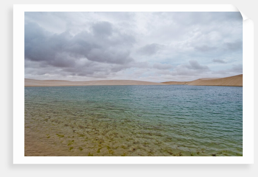 White Sand dunes and fresh water lakes at Lencois Maranheinses National Park, Brazil by Anonymous