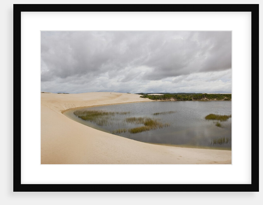 White Sand dunes and fresh water lakes at Lencois Maranheinses National Park, Brazil by Anonymous