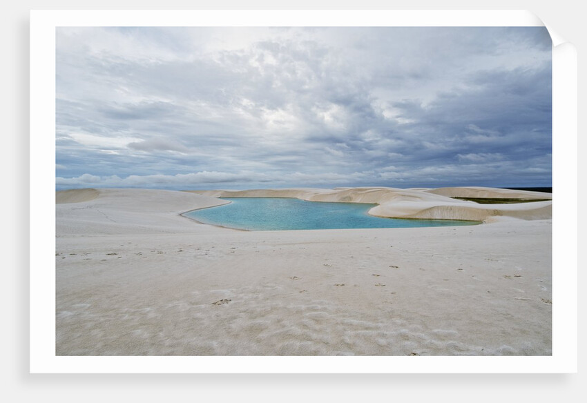 White Sand dunes and fresh water lakes at Lencois Maranheinses National Park, Brazil by Anonymous